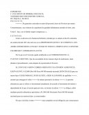 INCIDENTE DE PENSIONES CAIDAS