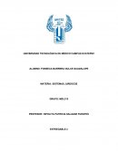 Incapacidad permanente