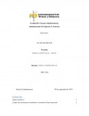 Administración De Empresas X Semestre.