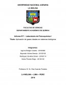 Aplicación de gases ideales en sistemas biológicos