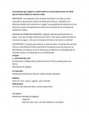 Experimentamos con hielo