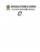 Practica 1 microscopio