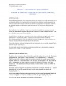 Práctica 4 quimica orgánica UNAM FQ 1411