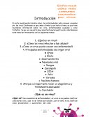 INVESTIGACION VIRUS INFORMATICO