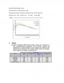 HOLSTEIN FRIESIAN (Bos Taurus)