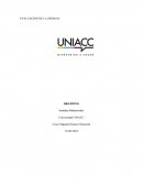 La marca seleccionada es JUMBO,