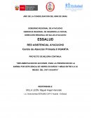 Proyecto de Mejora - Anemia