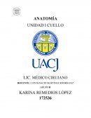 TAREA 1 UNIDAD I CUELLO