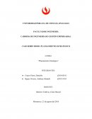 CASO ROBIN HOOD -PLANEAMIENTO ESTRATEGICO