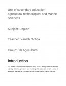 Cuatro estrategias de lectura