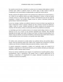 ESTUDIO DE CASO: JULIA Y LA AUDITORÍA.