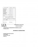 Reporte quimica. Extracción de eugenol del clavo de olor