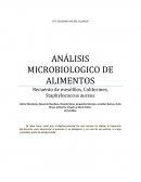 ANÁLISIS MICROBIOLOGICO DE ALIMENTOS Recuento de mesófilos, Coliformes, Staphylococcus aureus