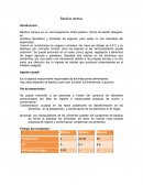 Bacillus cereus trabajo