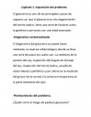 El glaucoma es uno de las principales causas de ceguera