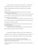 Integradora 4 de Quimica Semestre 2