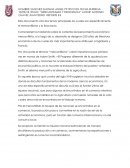 Mercantilismo y fisiocracia