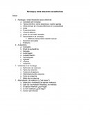 Noviazgo y otras relaciones afectivo eróticas