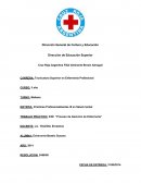 TRABAJO PRÁCTICO: PAE “Proceso de Atención de Enfermería”