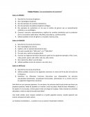 Trabajo Práctico-Actualizadores del sustantivo