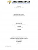 Actividad En la pantalla grande II Presentado al docente