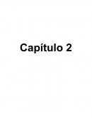CAPITULO 2 REFERENCIA DEL PERFIL PROFESIONAL técnico en informática