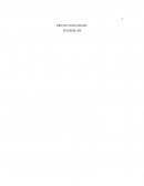 SEGUNDA ENTREGA PROYECTO DE EMPRESA.