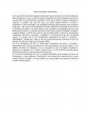 Perfil histórico davivienda