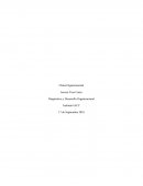 Diagnóstico y Desarrollo Organizacional