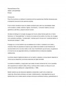 Vínculo madre bebé