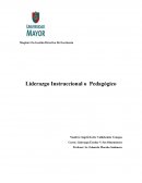 Liderazgo Instruccional o Pedagógico