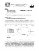 Práctica No. 6. Determinación del contenido de Polifenoles en alimentos