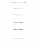 Pseudocodigo Fundamentos de Programación