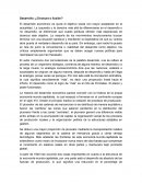 Desarrollo: ¿Cinosura o Ilusión?