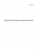 Reporte del museo de antropología