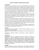 Diversidad de hongos y morfología