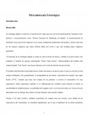 Marketing Estratégico-Caso Hawkers