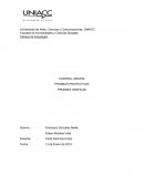 Caso Clínico - Pruebas Proyectivas