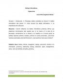 Delitos informáticos, ensayo