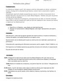 Secuencia día de la bandera sala de 5