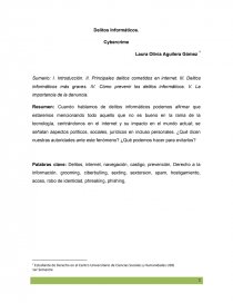 Delitos informáticos, ensayo. Página 1