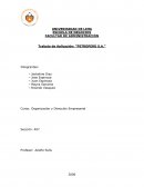 Diseño Organizacional - Petroperu