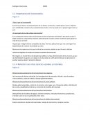 Importancia de la economía.