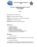 ELECCIÓN Y CONFORMACIÓN DEL GRUPO LOGÍSTICO