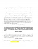 Formación Cívica y Ética UNO