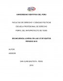 DELINCUENCIA JUVENIL EN LAS I.E DE IQUITOS PERIODO 2015