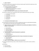 Guia de Control Gerencial