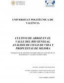 ANÁLISIS DE CICLO DE VIDA Y PROPUESTAS DE MEJORA