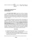 Incidente de Ejecución de Alimentos.