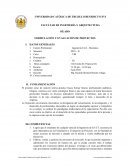 SÍLABO FORMULACIÓN Y EVALUACIÓN DE PROYECTOS